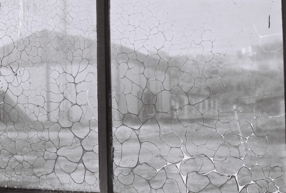 ESCAPING (Sofia Tudela)