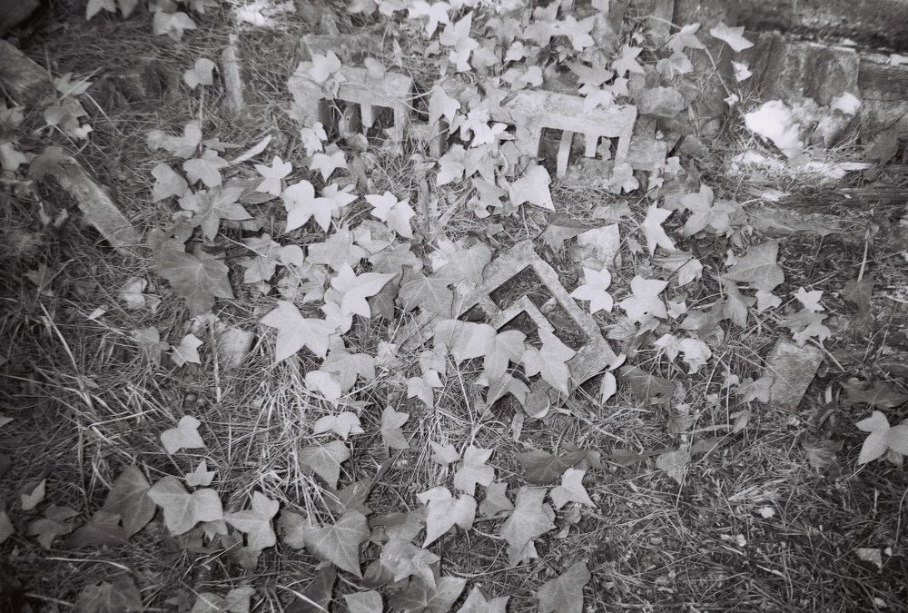 RISING (Sofia Tudela)