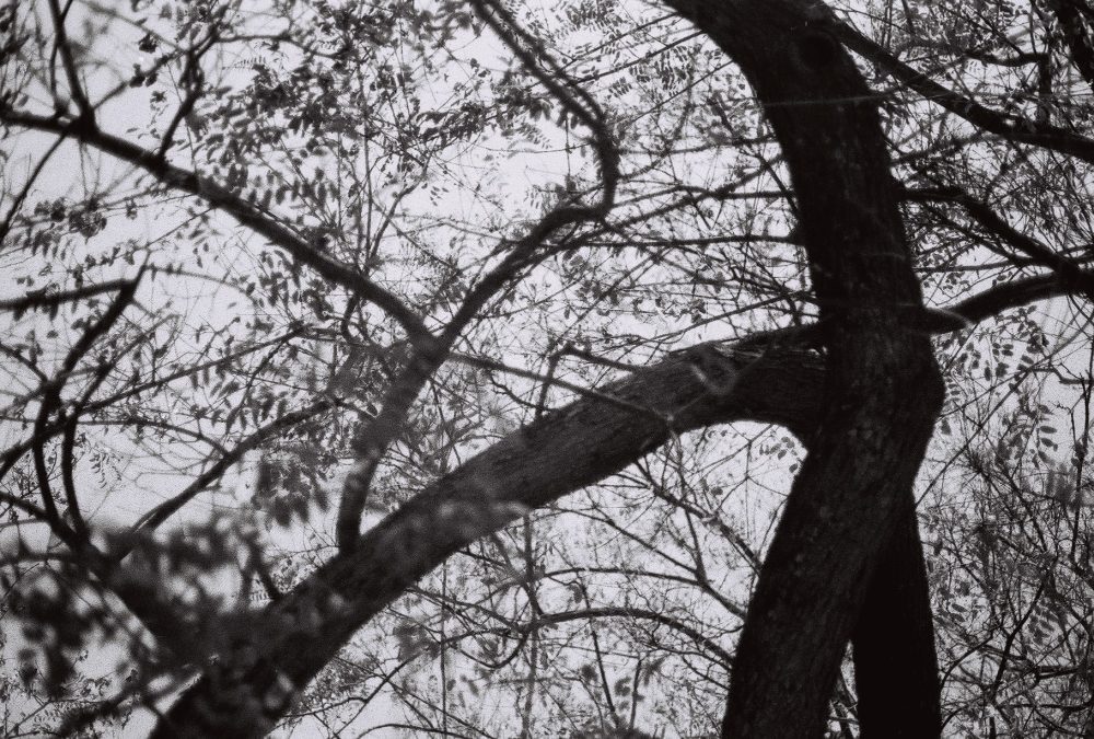 Untitled (sofia Tudela)